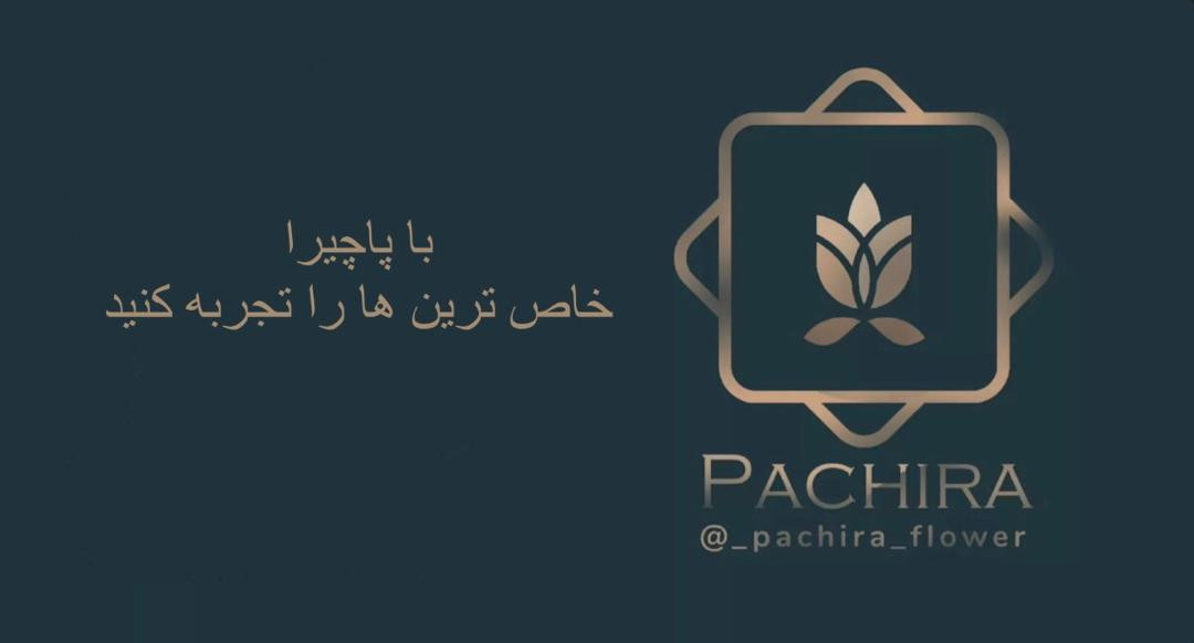 با اچیرا خاص ترین ها را تجربه کنید