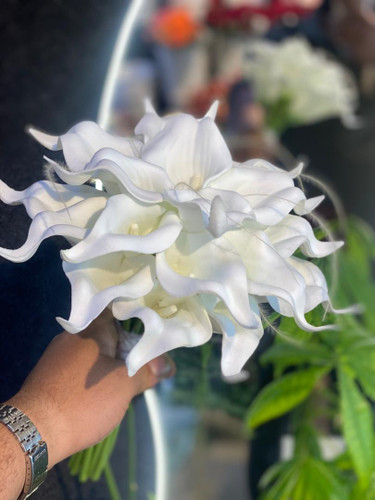 شیپوری دیزاین سبک گرد